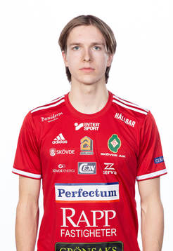 Skövdes David Frisk