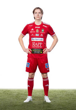 Skövdes David Frisk