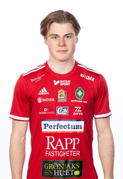 Skövdes Linus Mattsson