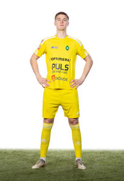 Skövdes David Engelbrektsson