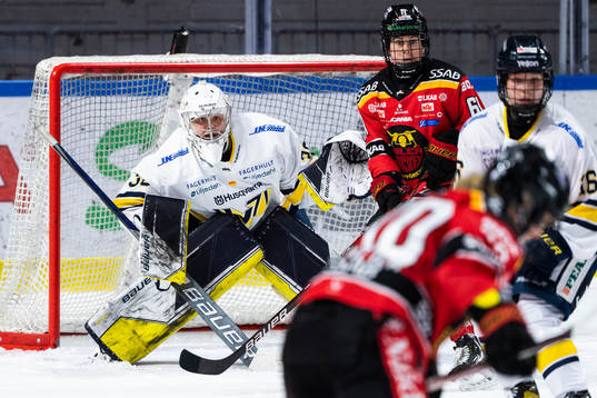 HV71s målvakt Anni Keisala