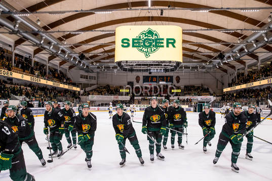 Björklöven jublar