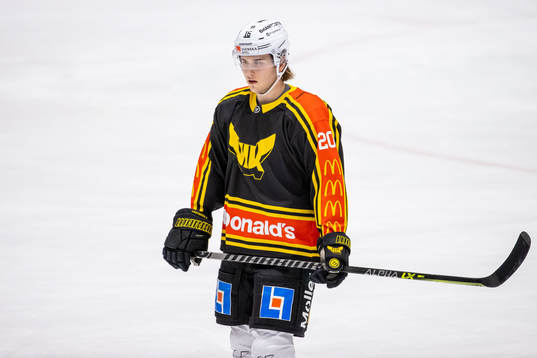 Västerås Zeteny Hadobas