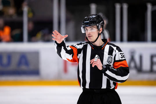 Domare Filip Eriksson