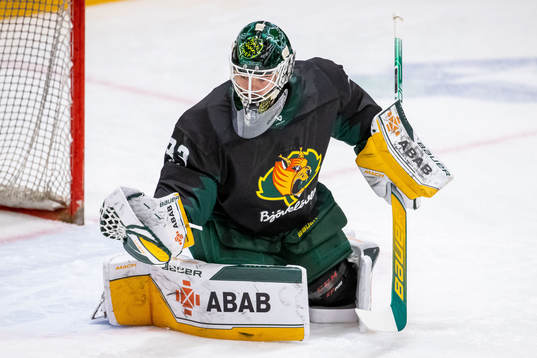 Björklövens målvakt Alex D’orio