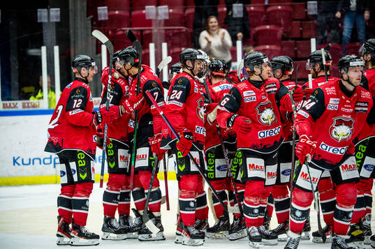 Malmö Redhawks spelare jublar
