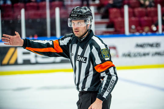 Domare Johan Magnusson