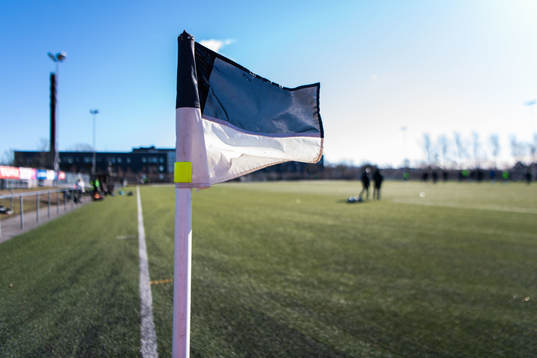 Svartvit hörnflagga