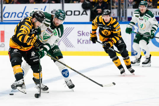 Skellefteås Oscar Möller och Färjestads Linus Johansson