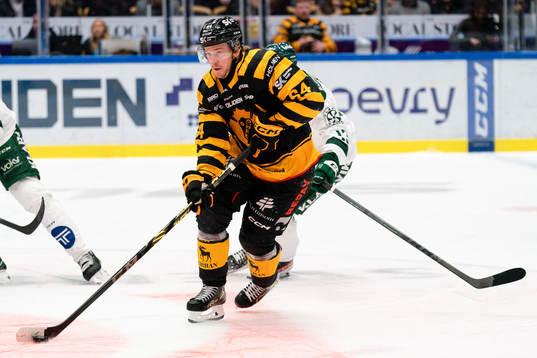 Skellefteås Jonathan Pudas