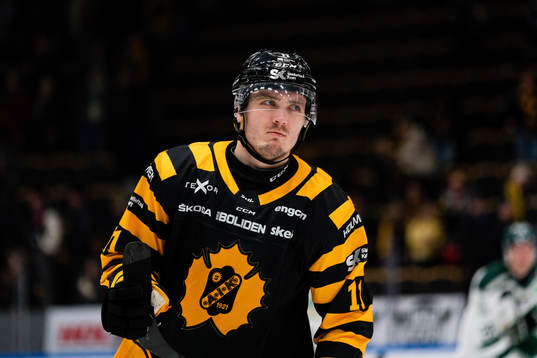 Skellefteås Max Lindholm deppar