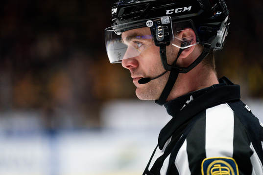 Domare Richard Magnusson
