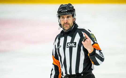 Domare Mikael Sjöqvist