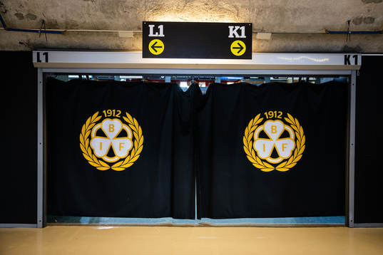 Brynäs logga