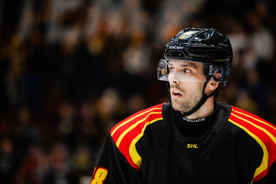Brynäs Mikko Niemelä
