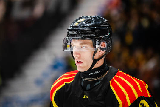 Brynäs David Sklenicka