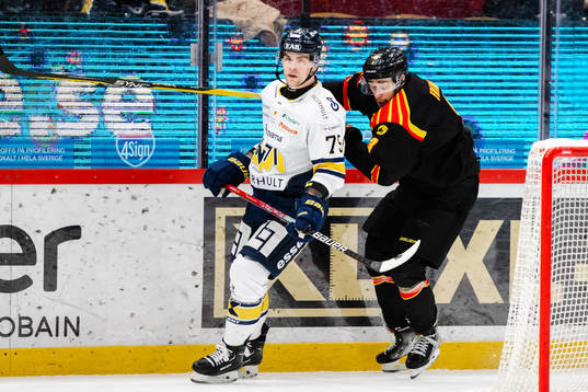 HV71s Radan Lenc och Brynäs Niklas Friman