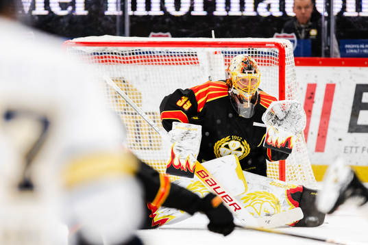 Brynäs målvakt Anders Lindbäck