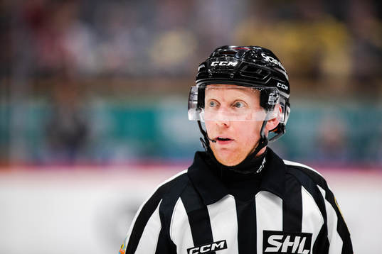 Domare Mikael Holm