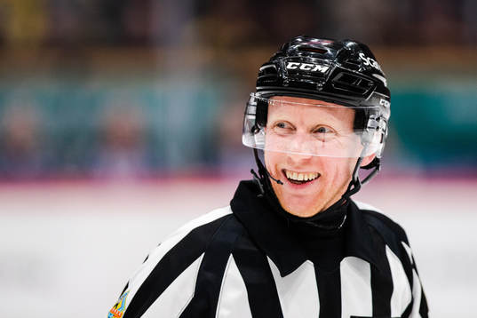 Domare Mikael Holm