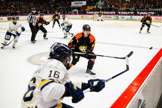 Brynäs Dmytro Timashov