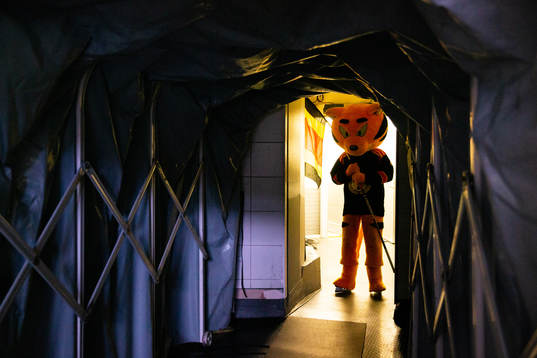 Brynäs maskot