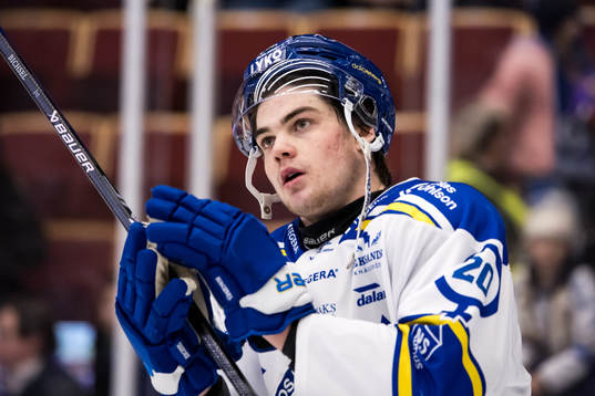 Leksands Lian Bichsel utsedd till matchens krigare