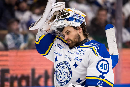 Leksands målvakt Mantas Armalis