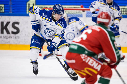 Leksands Jon Knuts