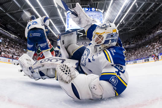 Leksands målvakt Mantas Armalis