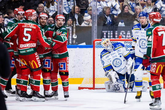 Leksands målvakt Mantas Armalis deppar