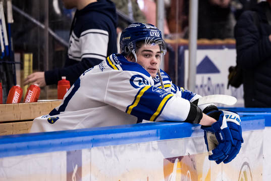 Leksands Lian Bichsel deppar
