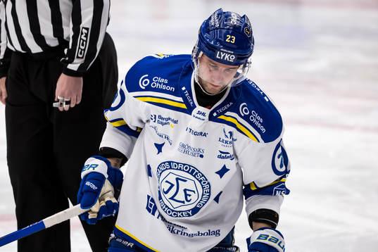 Leksands Mikael Ruohomaa