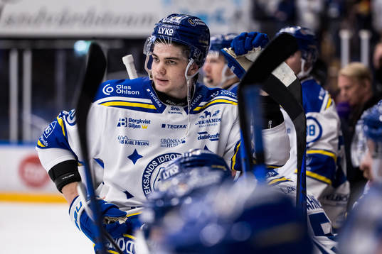 Leksands Lian Bichsel