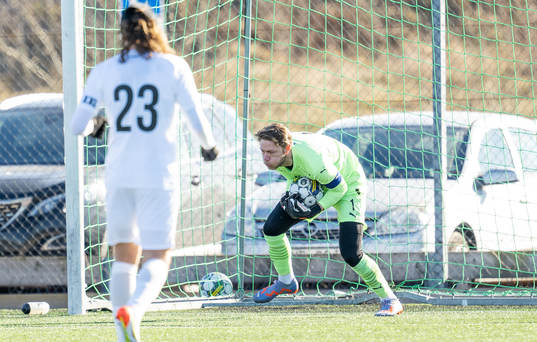 Helsingborgs målvakt Kalle Joelsson