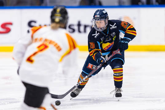 Djurgårdens Brette Pettet