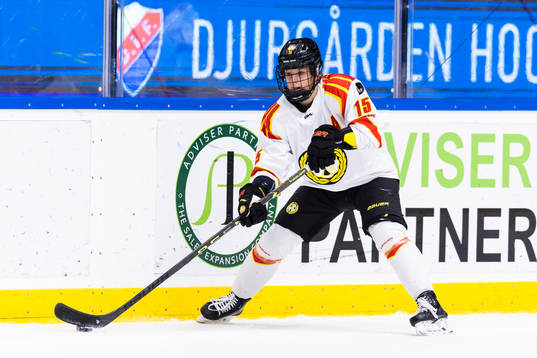 Brynäs Lara Stalder