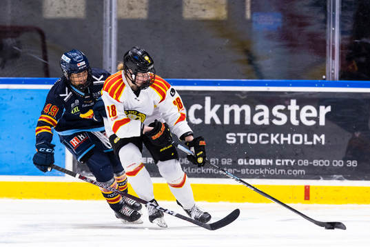 Brynäs Jenny Antonsson