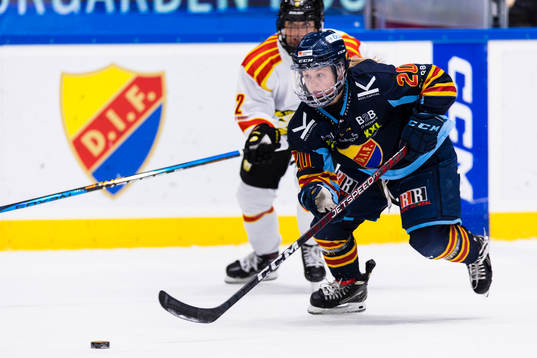 Djurgårdens Brette Pettet