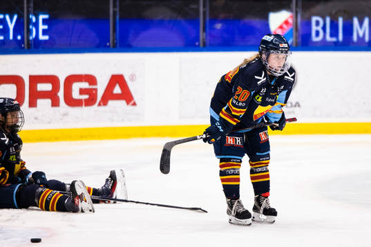 Djurgårdens Brette Pettet deppar