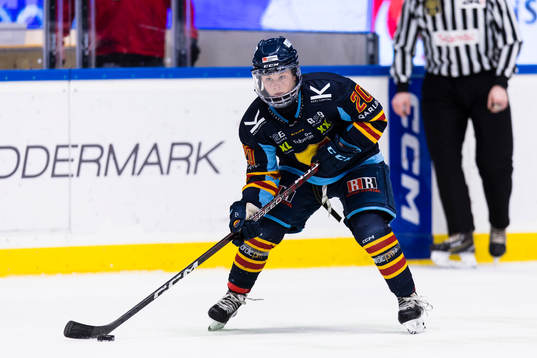 Djurgårdens Brette Pettet