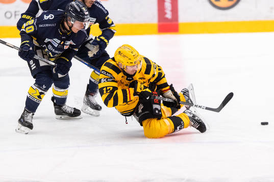 HV71s André Petersson och Skellefteås Pär Lindholm