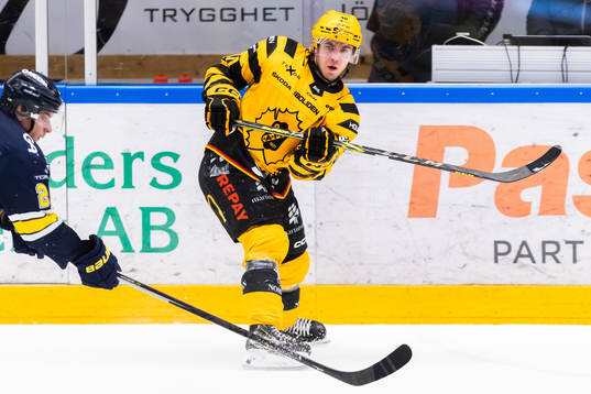 Skellefteås Andreas Wingerli