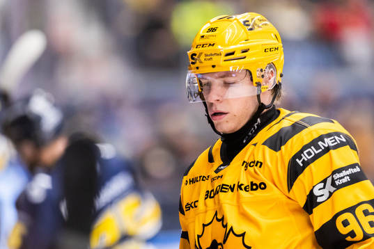 Skellefteås Rickard Hugg deppar