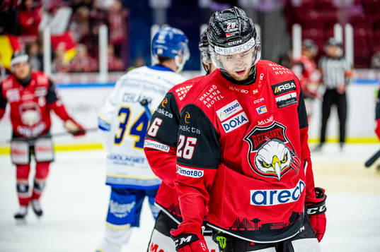 Malmö Redhawks Thomas Schemitsch deppar
