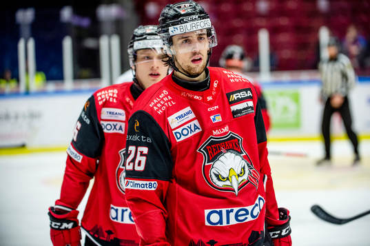 Malmö Redhawks Thomas Schemitsch deppar