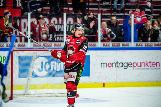 Malmö Redhawks Marcus Sylvegård jublar med lagkamraterna