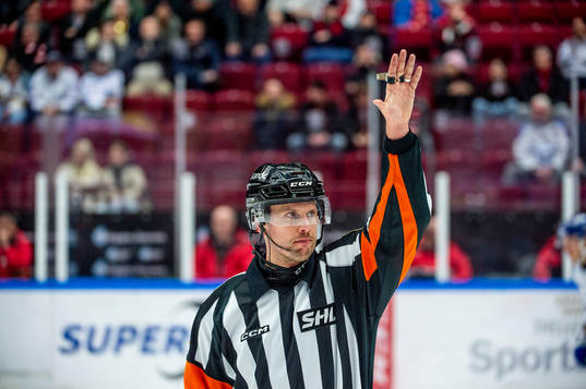 Domare Johan Magnusson
