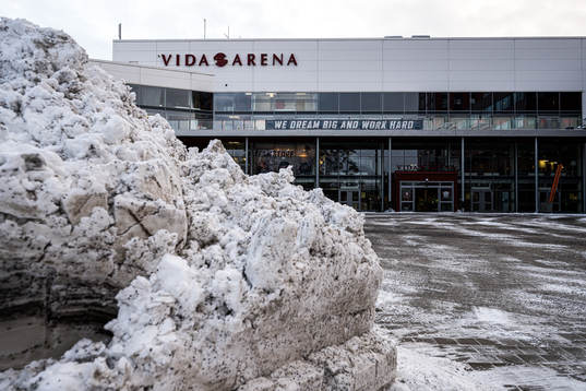 Vida arena