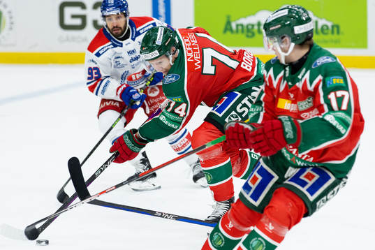 Frölundas Andreas Borgman